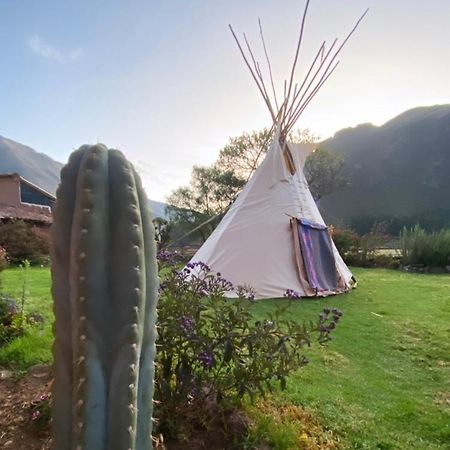 Sonqo Andino Hospedaje Medicina Pisac Extérieur photo